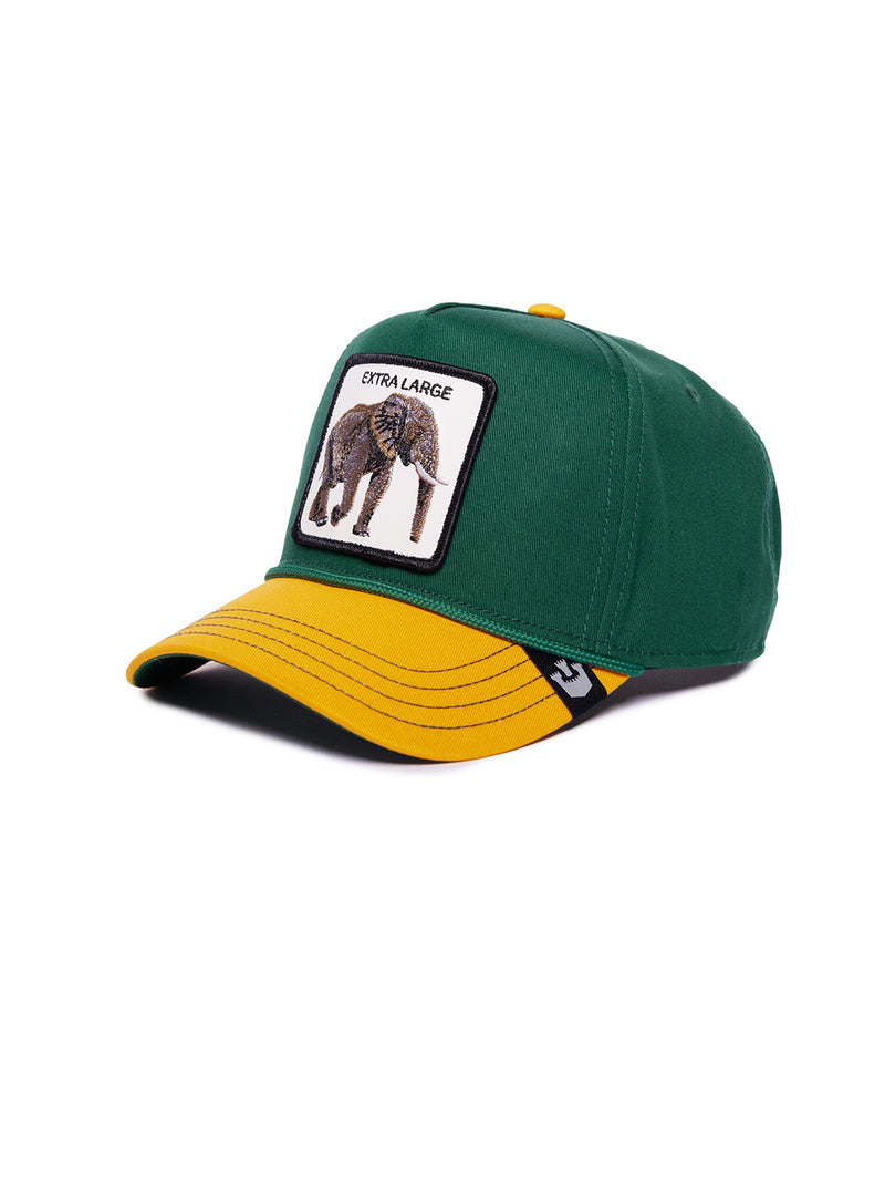 Extra Large 100 Hat - Green-GOORIN BROTHERS-Over the Rainbow